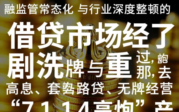 目前整顿后还能下款的口子有哪些