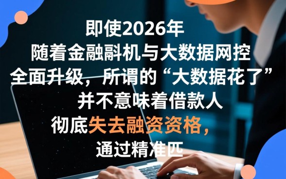 大数据花了能下款的口子2026有哪些