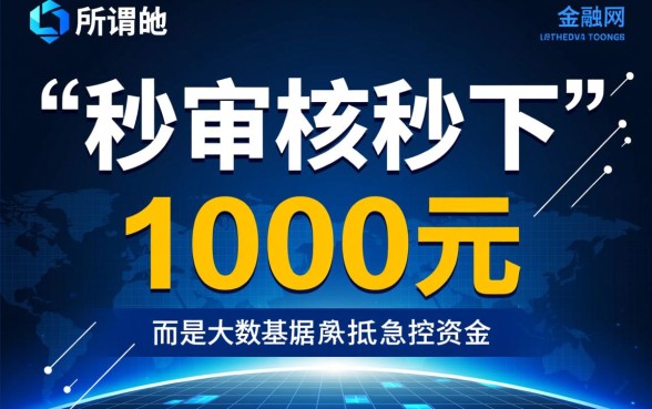 秒审核秒下1000的口子有哪些