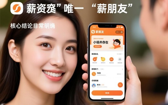 像薪朋友秒下300的口子叫什么