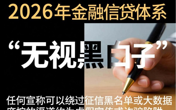 2026年无视黑白的大额口子有哪些