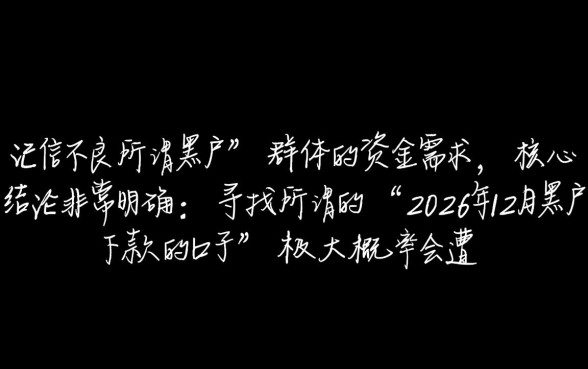 2026年12月黑户下款的口子