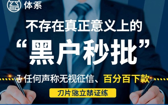 哪些是24小时审核黑户秒批口子