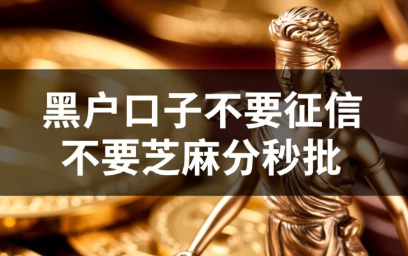 黑户口子不要征信不要芝麻分秒批