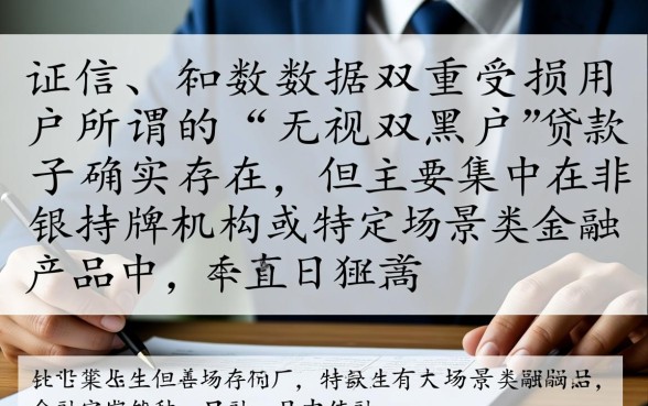 十款无视双黑户的贷款口子这里有