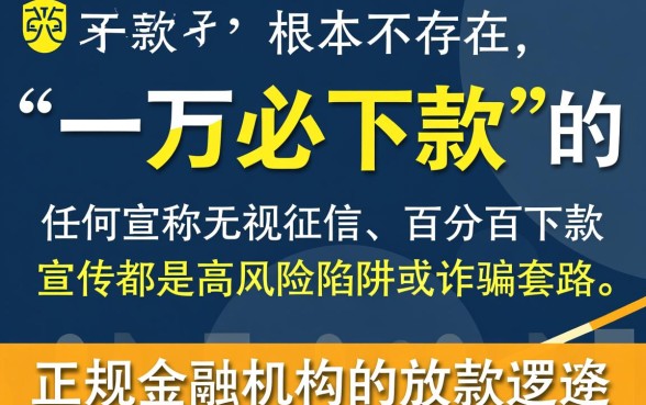 有没有人尝试过一万必下款的口子