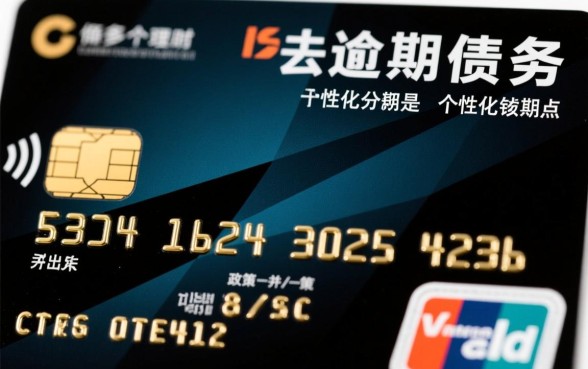 个性化分期是哪一年出来的政策,信用卡停息挂账怎么申请 个性化分期是哪一年出来的政策