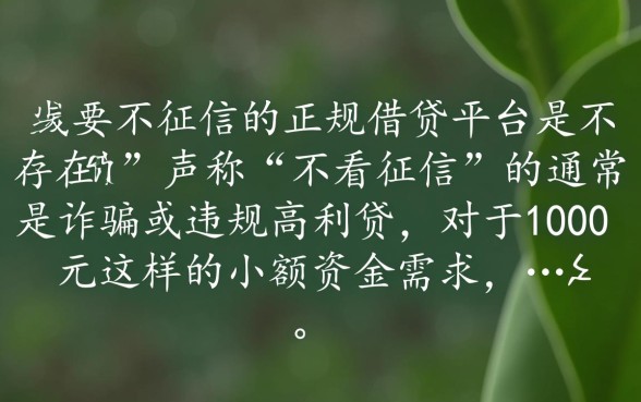 借钱不看征信的平台1000元