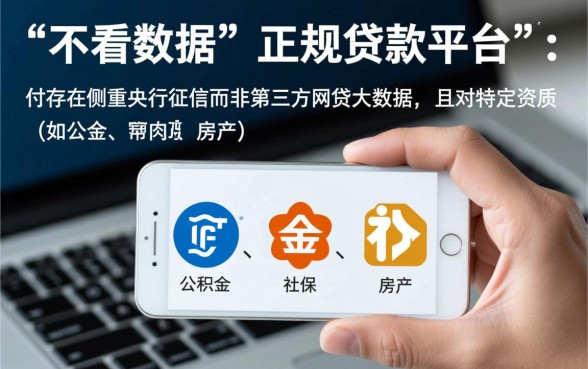 网上哪个平台好借钱不看大数据