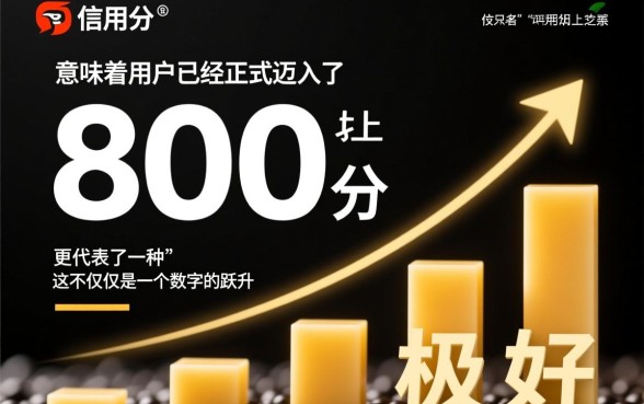 芝麻信用800以上可以做什么