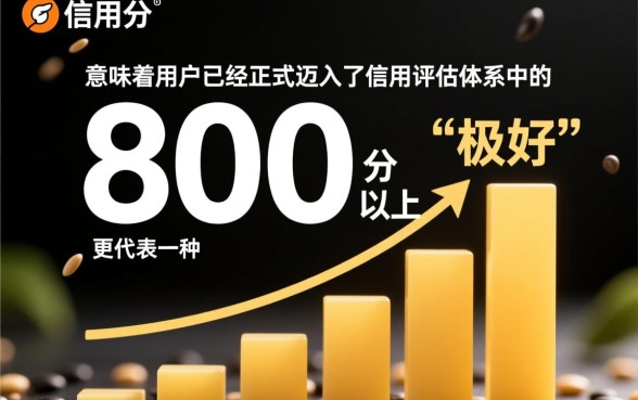 芝麻信用800以上可以做什么