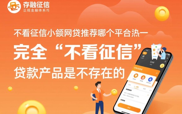 不看征信小额网贷推荐哪个平台