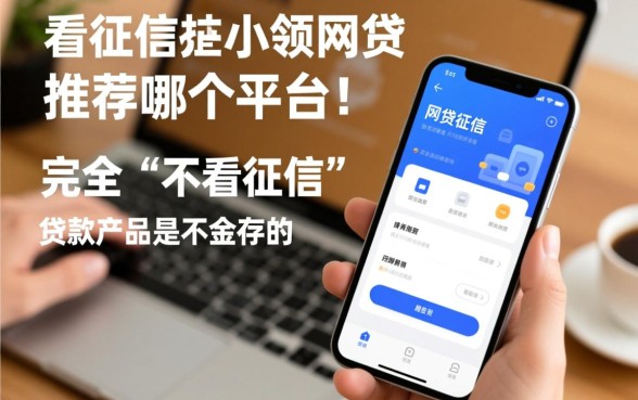 不看征信小额网贷推荐哪个平台