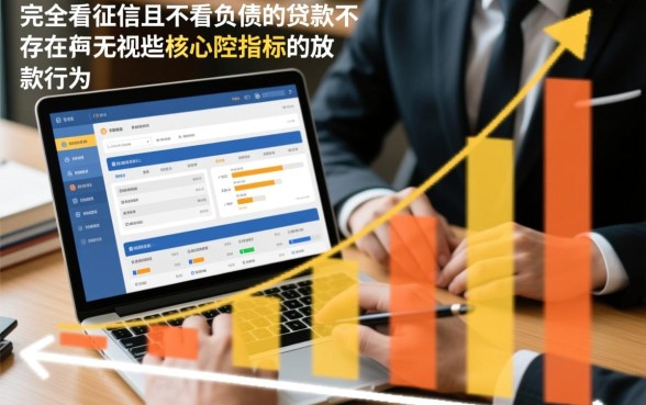 有没有不看征信不看负债的贷款