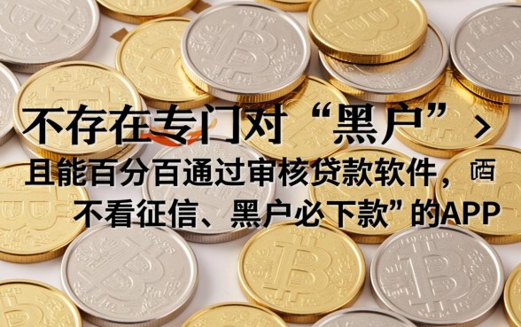 黑户什么贷款软件可以通过审核