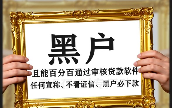 黑户什么贷款软件可以通过审核