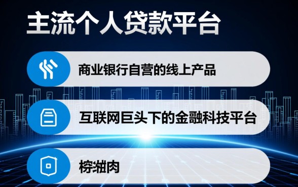 个人贷款平台大的平台都有哪些