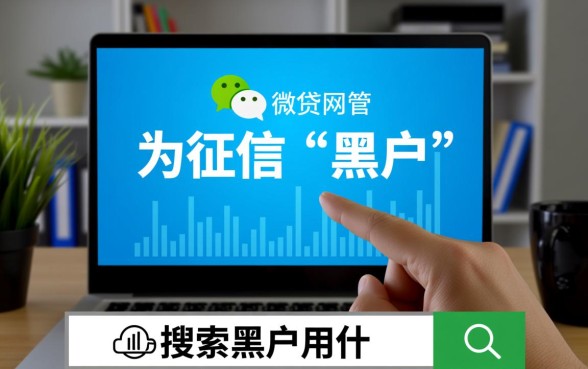 黑户用什么软件可以贷款呢微信