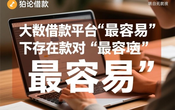 大额的借款平台哪个最容易下款