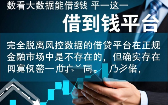 哪里不看大数据能借到钱的平台