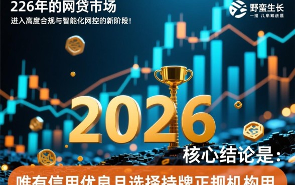 2026网贷能下款的口子介绍 2026网贷能下款的口子介绍