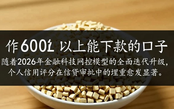 芝麻分600以上能下款的口子有哪些