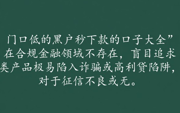 门口低的黑户秒下款的口子大全