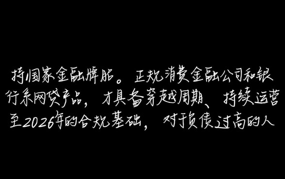 负债太高哪个网贷能过2026