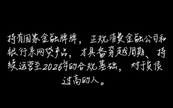 负债太高哪个网贷能过2026