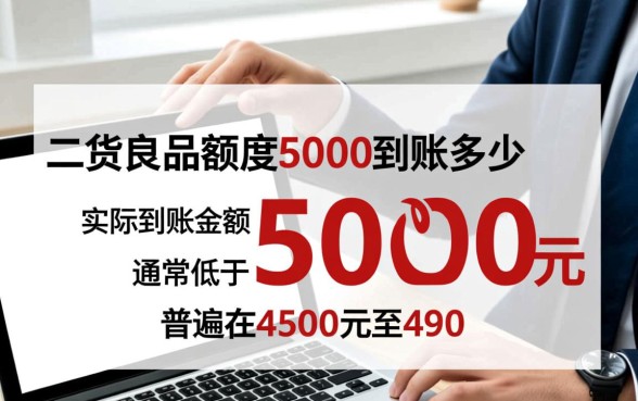 二货良品额度5000到账多少