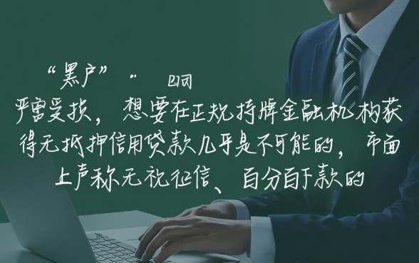 现在还有什么口子黑户能下款的