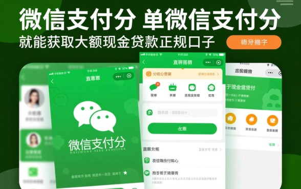 有没有靠微信支付分下款的口子