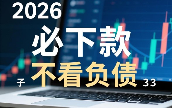 2026必下款的口子不看负债吗