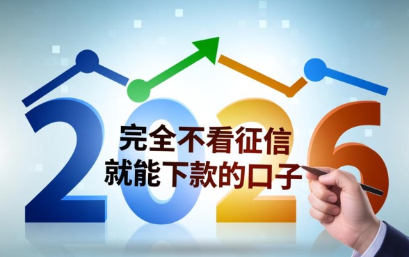 2026不看征信能下款的口子有哪些