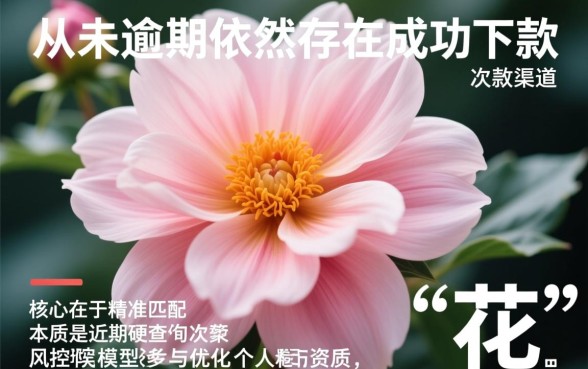 2026最新不看征信的口子