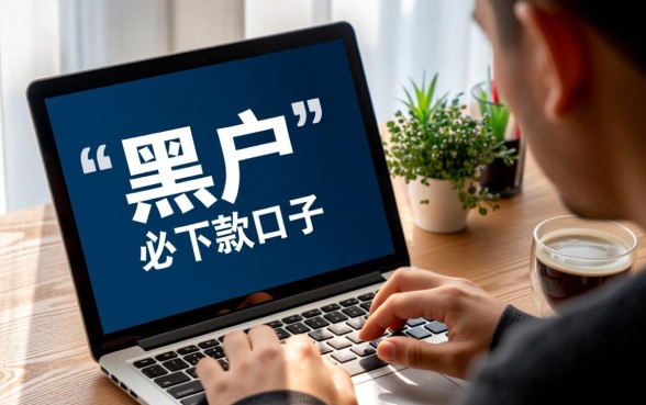 有没有黑户大神最近下款的口子