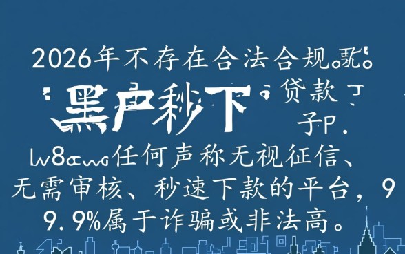 2026年黑户秒下的口子有吗