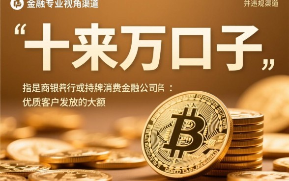 就能下十来万的口子是什么贷款