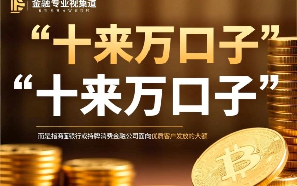 就能下十来万的口子是什么贷款