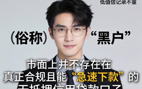 黑户贷款口子急速下款的有哪些