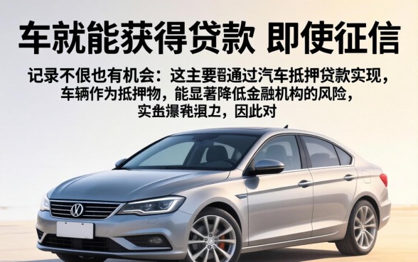 有车就能贷款的口子无视黑白秒下款