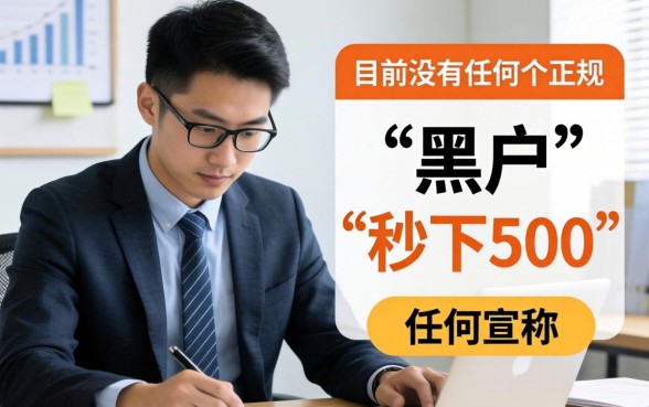 2026黑户秒下500的口子