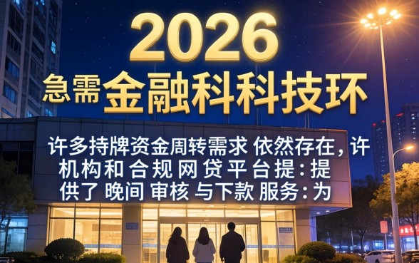 网贷晚上审核放款的口子有哪些