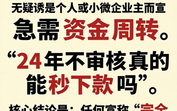 24年不审核真的能秒下款吗?揭秘秒下款真相与避坑指南 24年不审核真的能秒下款吗