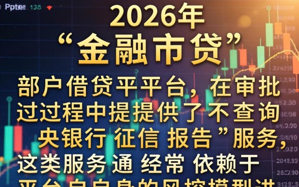 哪些口子可以借贷时不查征信