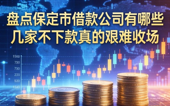 盘点保定市借款公司有哪些，这几家不下款真的很难收场