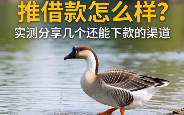 大鹅推借款怎么样？实测分享几个还能下款的渠道