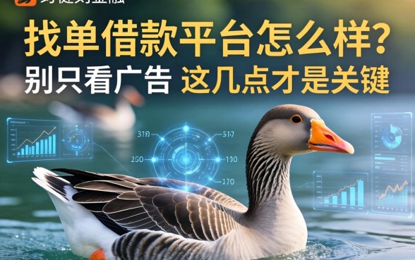 大鹅抢单借款平台怎么样？别只看广告，这几点才是关键
