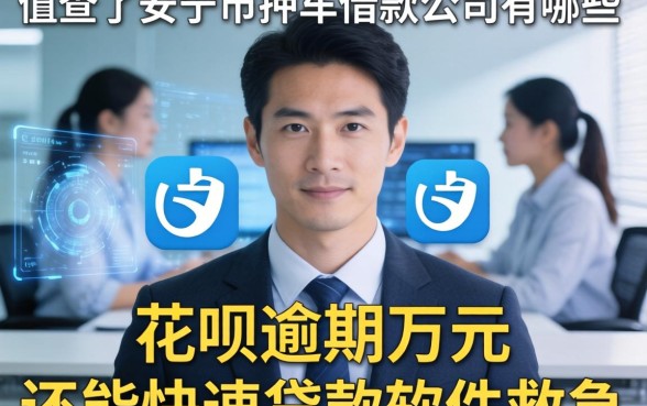 我查了安顺市押车借款公司有哪些，发现花呗逾期万元还能快速贷款软件救急