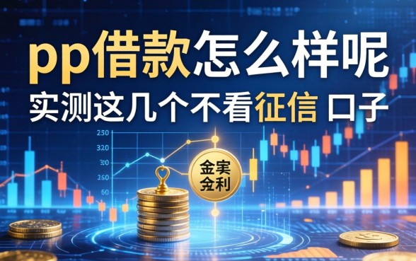 pp借款怎么样呢，实测这几个不看征信的口子